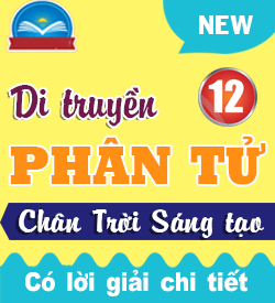 Di truyền Phân tử (CTST)